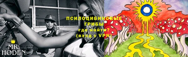амф Алексин