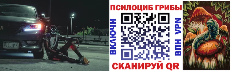 Купить  Билибино  Галлюциногенные грибы Psilocybe 