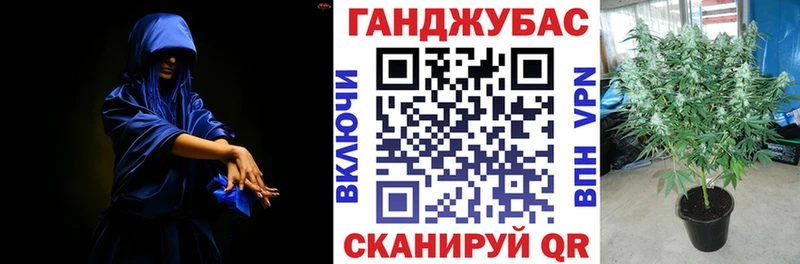 Бошки марихуана конопля Билибино