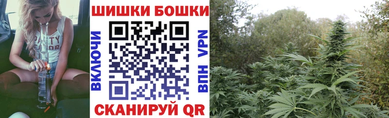 Купить закладки  Билибино  Шишки марихуана план 